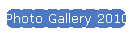 Photo Gallery 2010