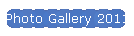 Photo Gallery 2011