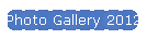Photo Gallery 2012