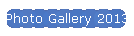 Photo Gallery 2013